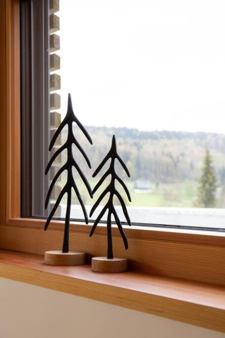 Tolle Bergvilla Im Osterzgebirge Villa
